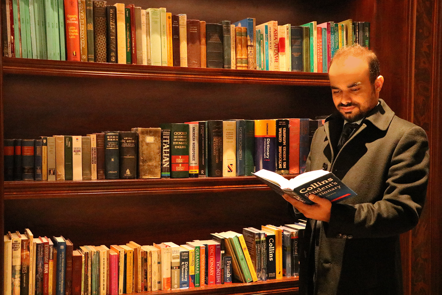 محمود نوفروش